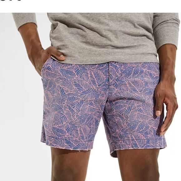 NWT  American Eagle Outfitters Flex Lived in Khaki shorts , blue/pink, size 29 - Picture 1 of 7